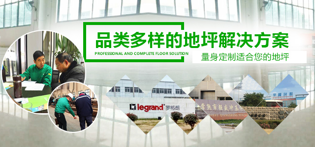 丽固--专业、齐全的地坪解决方案